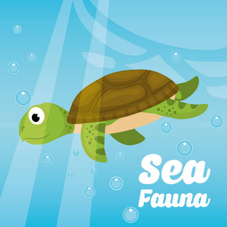 Sea fauna cartoon, vector illustration graphic designのイラスト素材