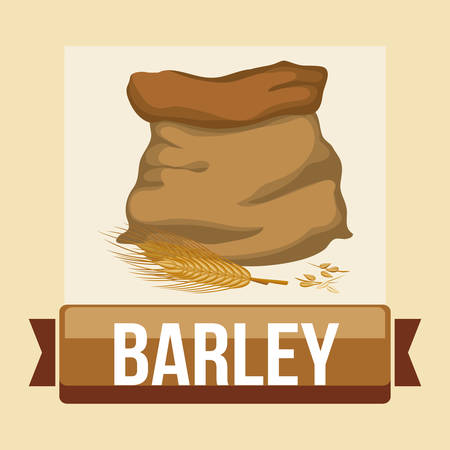 Barley concept with decoration icons design, vector illustration 10 eps graphic.のイラスト素材