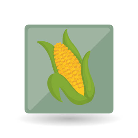 Vegetables concept with icon design, vector illustration 10 eps graphic.のイラスト素材