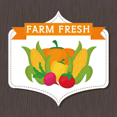 Farm fresh concept with icon design, vector illustration 10 eps graphic.のイラスト素材