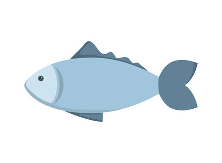 Sea life concept represented by fish animal icon over flat and isolated backgroundのイラスト素材