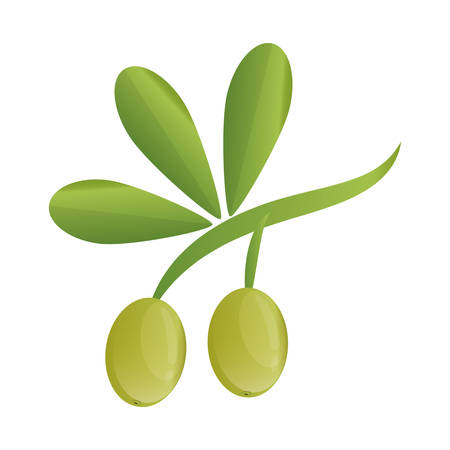 Organic and Healthy food concept represented by olive plant icon. isolated and flat illustrationのイラスト素材