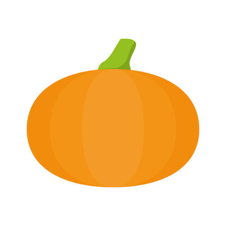 Organic and Healthy food concept represented by pumpkin icon. isolated and flat illustrationのイラスト素材