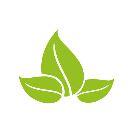 Plant and nature concept represented by leaves icon. isolated and flat illustrationのイラスト素材