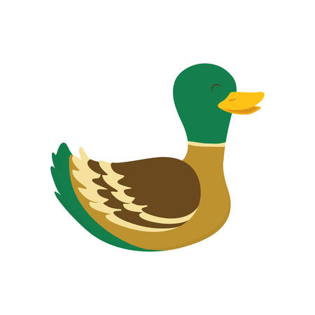 Farm animal concept represented by duck cartoon icon. isolated and flat illustrationのイラスト素材