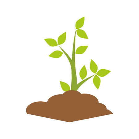 Nature concept represented by green plant icon. isolated and flat illustrationのイラスト素材