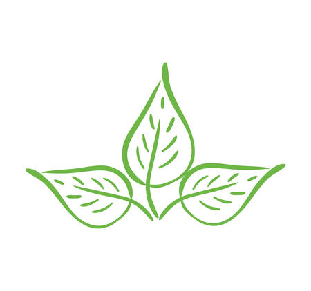 Nature plant concept represented by leaf icon. isolated and flat illustrationのイラスト素材