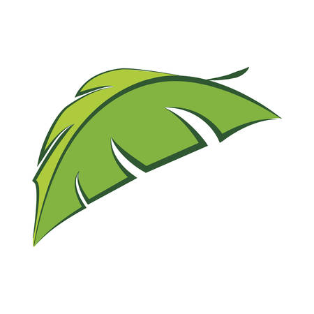 Nature concept represented by green leaf  icon. isolated and flat illustrationのイラスト素材