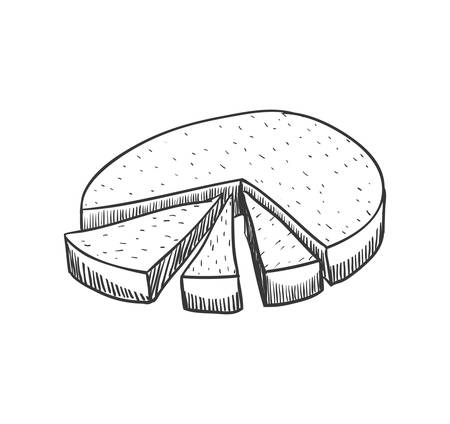 Infographic concept represented by cake icon. Isolated and sketch illustrationのイラスト素材