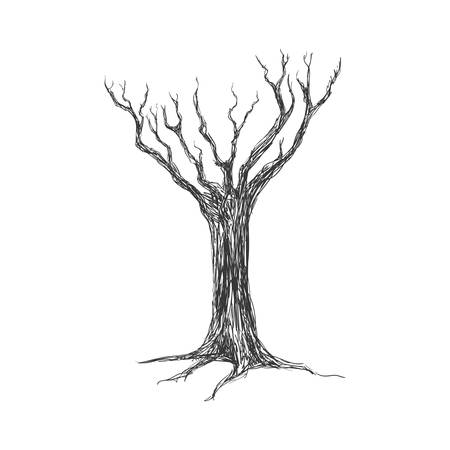 Nature concept represented by Dry tree icon. Isolated and flat illustrationのイラスト素材