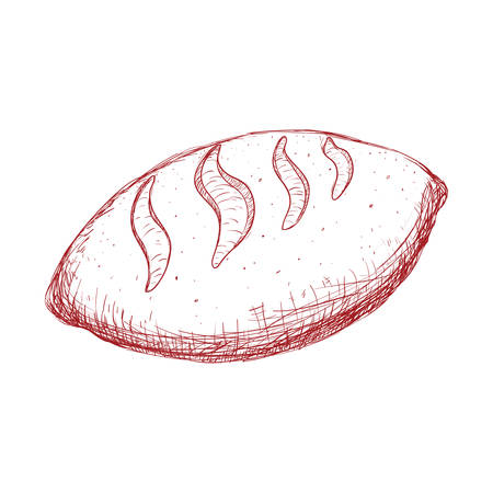 Bakery concept represented by bread icon. Isolated and sketch illustrationのイラスト素材