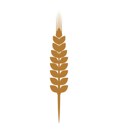 Grain concept represented by wheat ears icon. Isolated and flat illustrationのイラスト素材