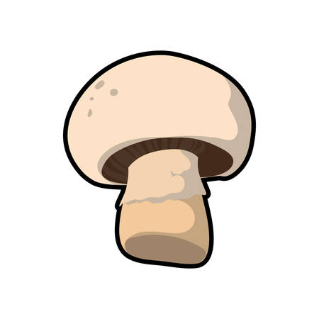 Mushroom healthy food organic food market icon. Isolated and flat illustration. Vector graphicのイラスト素材