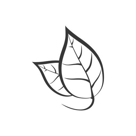 Leaf nature plant eco icon. Isolated and flat illustration. Vector graphicのイラスト素材