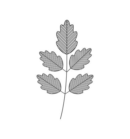leaf plant nature garden icon. Isolated and flat vecctor illustrationのイラスト素材