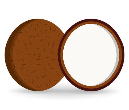 coconut fruit healthy organic food icon. Colorful and flat design. Vector illustrationのイラスト素材