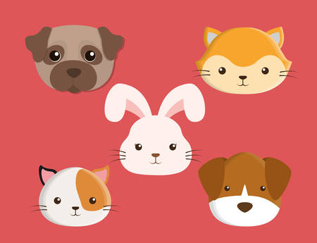 cats dogs rabbit cartoon pets animals con. Colorful and flat design. Vector illustrationのイラスト素材
