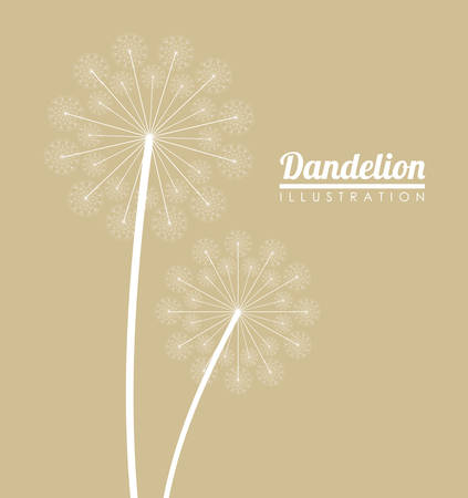 White dandelion icon. Summer seed plant and flower theme. Colorful design. Pastel background. Vector illustrationのイラスト素材