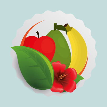 Apple banana flower and leaf icon. Fruits summer healthy and organic food theme. Colorful design. Vector illustrationのイラスト素材