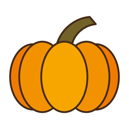 Thanksgiving pumpkin isolated icon vector illustration designのイラスト素材