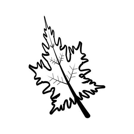 leaf autumn isolated icon vector illustration designのイラスト素材