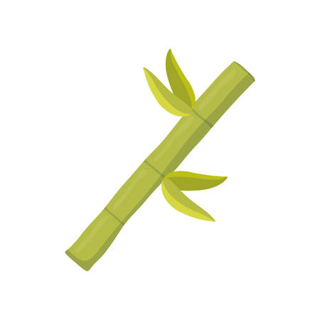 Bamboo green plant icon vector illustration graphic designのイラスト素材