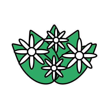floral decoration isolated icon vector illustration designのイラスト素材
