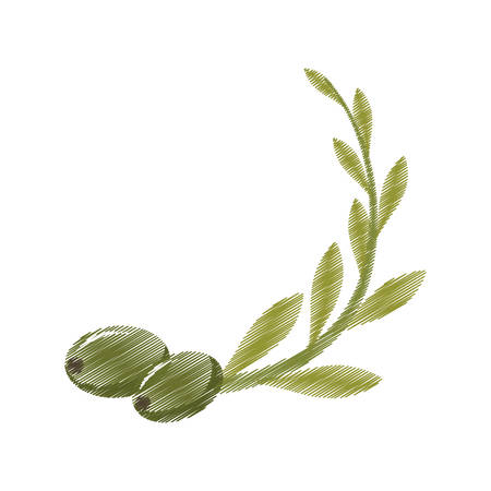 drawing branch tree olive graphic vector illustration eps 10のイラスト素材