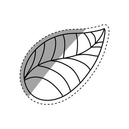 leaf natural ecology icon vector illustration graphic designのイラスト素材