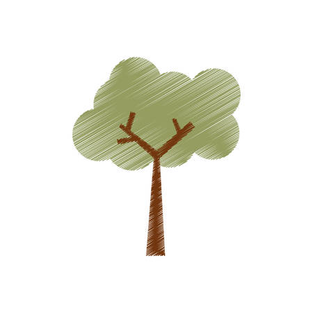 Tree natural ecology icon vector illustration graphic designのイラスト素材