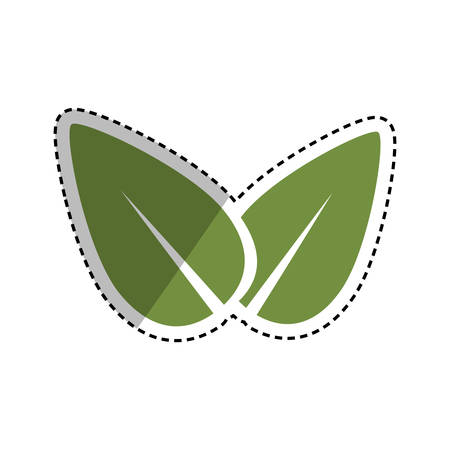 Isolated natural leaves Design Vector illustration, white backgroundのイラスト素材