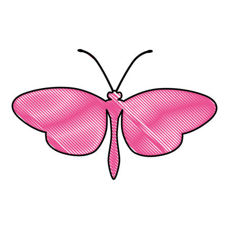 butterfly silhouette icon image vector illustration designのイラスト素材