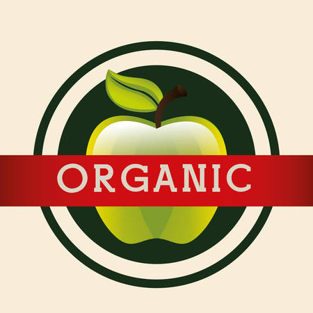 organic food product icon vector illustration graphic designのイラスト素材