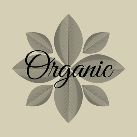 organic food product icon vector illustration graphic designのイラスト素材