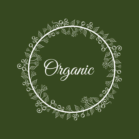 organic food product icon vector illustration graphic designのイラスト素材