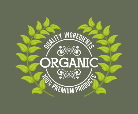 organic food product icon vector illustration graphic designのイラスト素材