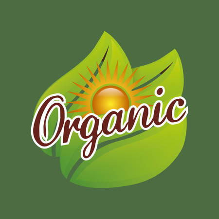 organic food product icon vector illustration graphic designのイラスト素材
