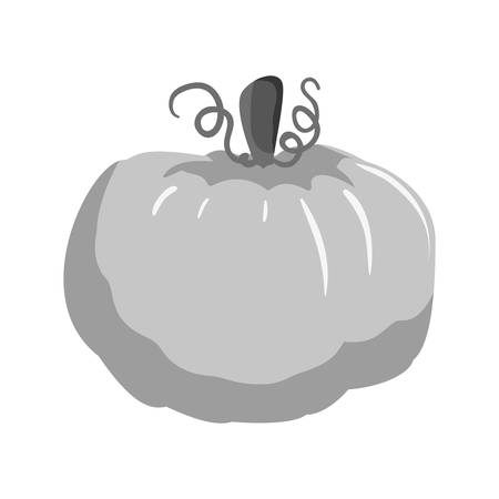 pumpkin vegetable icon image vector illustration designのイラスト素材