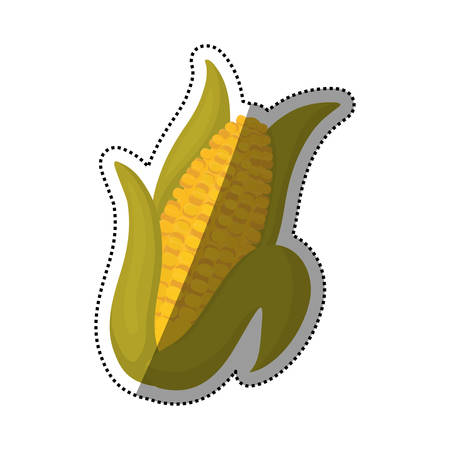 Fresh corn vegetable icon vector illustration graphic designのイラスト素材