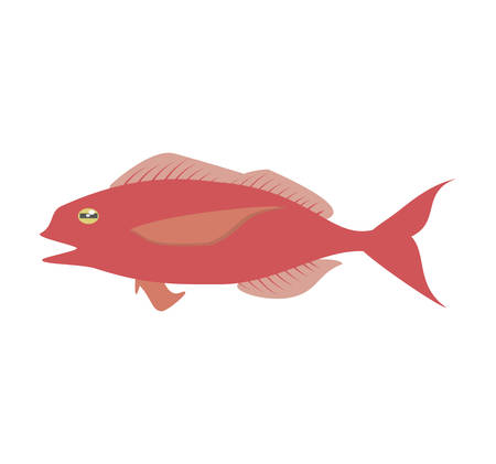 cod fish sealife food ocean vector illustration eps 10のイラスト素材