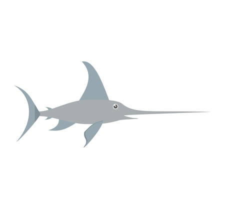marlin swordfish marine wildlife vector illustration eps 10のイラスト素材