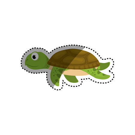 Marune turtle animal icon vector illustration graphic designのイラスト素材