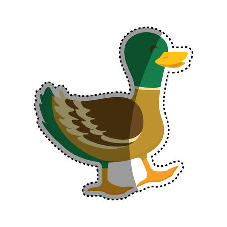 duck farm animal icon vector illustration graphic designのイラスト素材