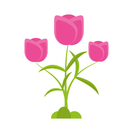 tulip flower romantic plant vector illustration eps 10のイラスト素材