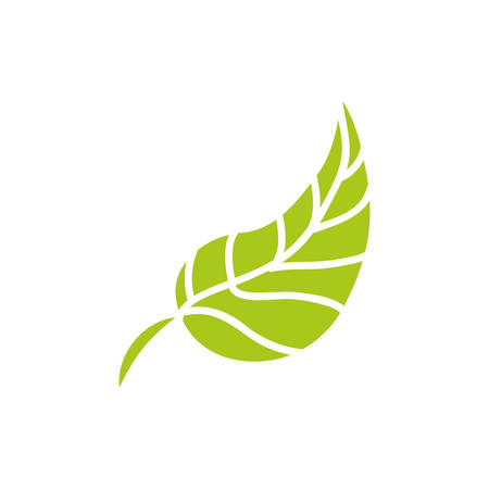 leaf nature ecology icon vector illustration graphic designのイラスト素材