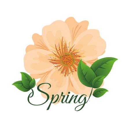 spring cute  flower vector illustration eps 10のイラスト素材