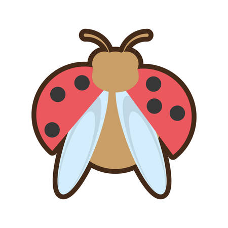 cartoon ladybug animal insect garden vector illustrationのイラスト素材