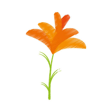 drawing freesia flower spring natural vector illustrationのイラスト素材