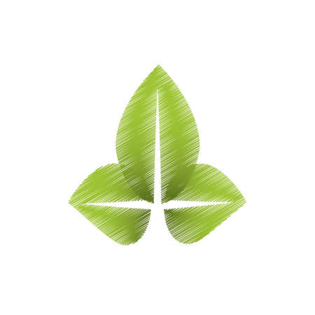 drawing green leaves natural vector illustrationの写真素材