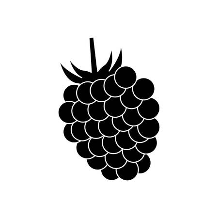 Blackberrry Delicious fruit icon vector illustration graphic designのイラスト素材